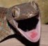 Hermorage