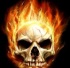 Slkfd