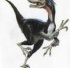 raptori