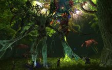 Rift