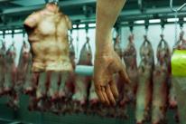 Resident Evil 6