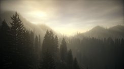 Alan Wake