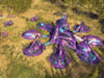 Halo Wars