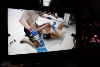 UFC Undisputed 3