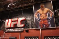 UFC Undisputed 3