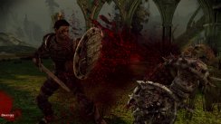 Dragon Age: Origins