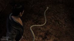 Yakuza 3