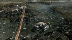 The Elder Scrolls V: Skyrim