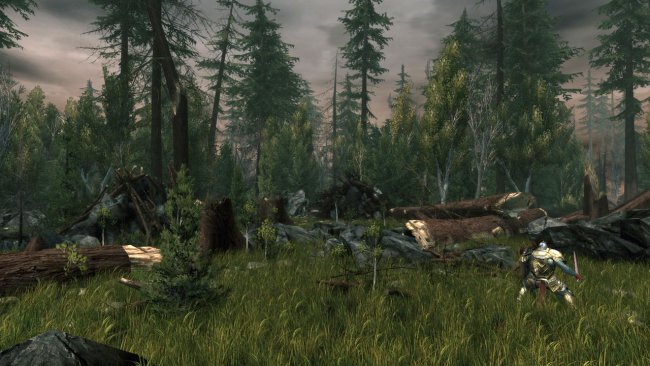 Neverwinter