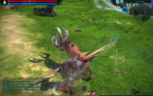 Tera