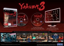 Yakuza 3