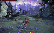Tera