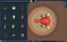 Spore