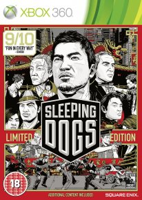 Sleeping Dogs