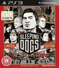 Sleeping Dogs