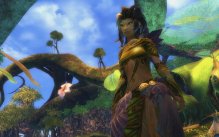 Guild Wars 2