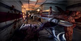 Afterfall: Insanity