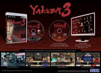 Yakuza 3