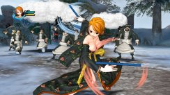 One Piece: Pirate Warriors