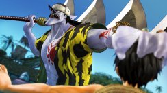 One Piece: Pirate Warriors