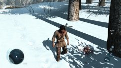 Assassin's Creed III