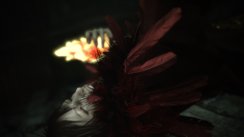 Agni's Philosophy