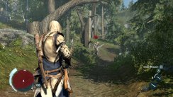Assassin's Creed III