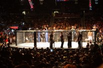 UFC Undisputed 2010
