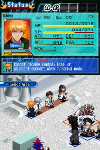 Bleach: The 3rd Phantom
