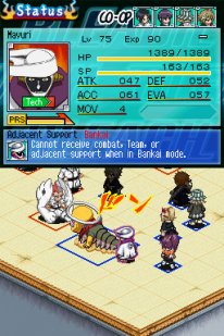 Bleach: The 3rd Phantom