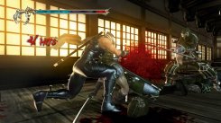 Ninja Gaiden 2