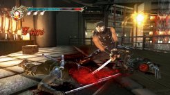 Ninja Gaiden 2