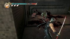 Ninja Gaiden 2