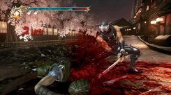 Ninja Gaiden 2