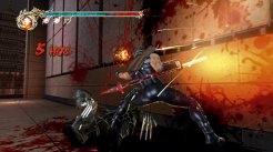 Ninja Gaiden 2