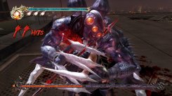 Ninja Gaiden 2