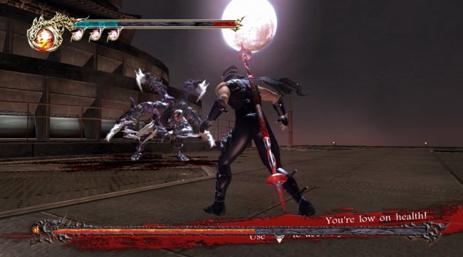 Ninja Gaiden 2