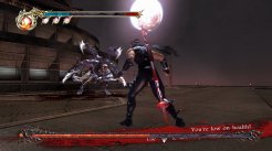 Ninja Gaiden 2