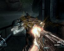 Aliens vs. Predator