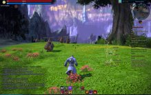 Tera