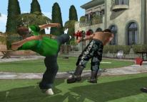 Backyard Wrestling: Don't try this at home