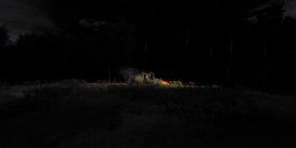 DayZ