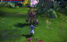 Tera