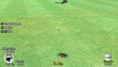 Everybody's Golf Vita