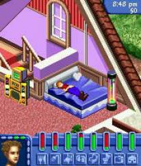 The Sims: Bustin' Out
