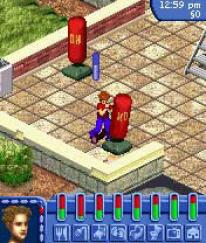The Sims: Bustin' Out