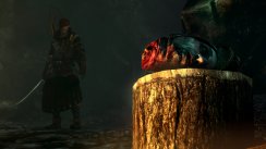 The Witcher 2: Assassins of Kings