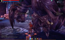 Tera