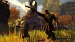 Guild Wars 2