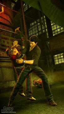 Sleeping Dogs